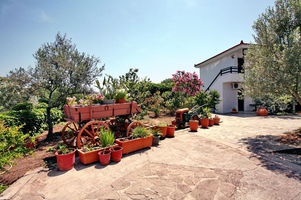 Hotel Pela Skala Kallonis Exteriér fotografie